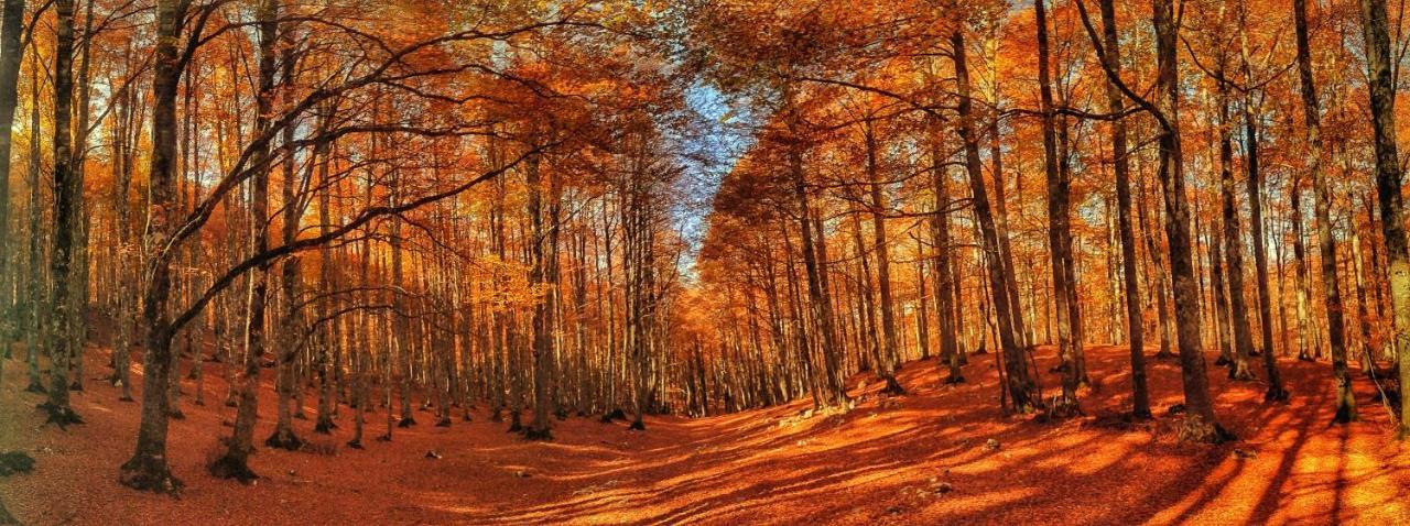 Le Masserie Case Vacanza Віллетта-Барреа Екстер'єр фото